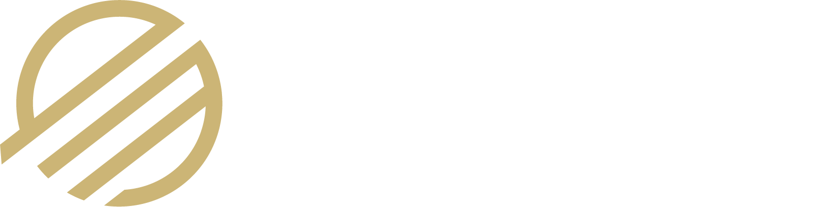 DexMob Logo horizontal white Text